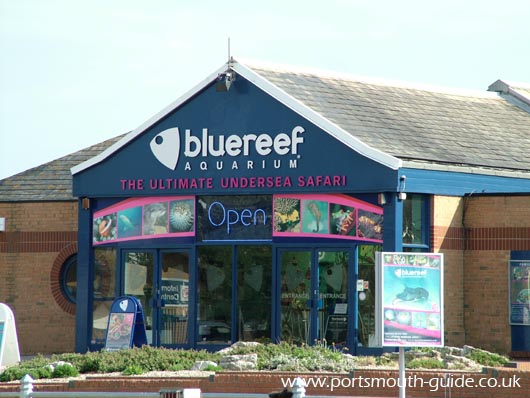 Blue Reef Aquarium