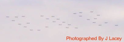 RAF Flypast - Queens Jubilee Portsmouth