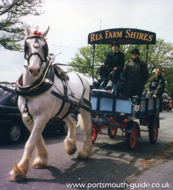 Heavy Horse Parade Portsmouth